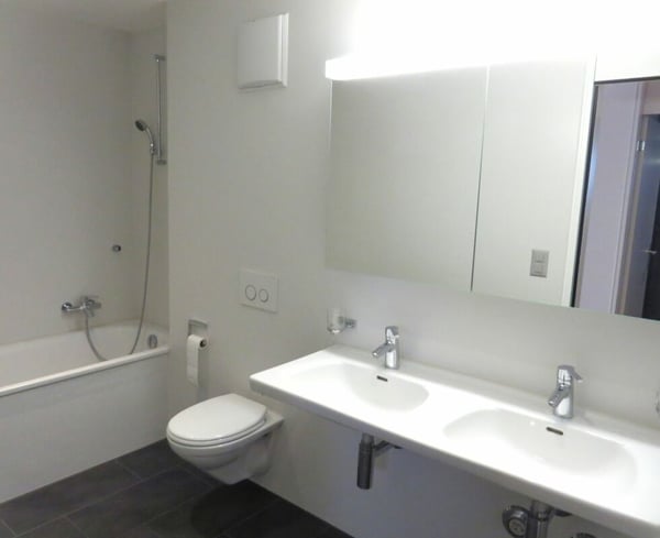 Einzigartige 1.5-Zimmer-Attika-Wohnung mit Blick ins Grüne 5