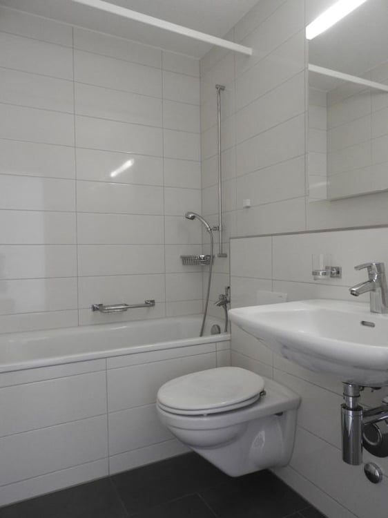 Charmante 3 1/2-Zimmer-Wohnung im Blüemlismatt-Quartier 5