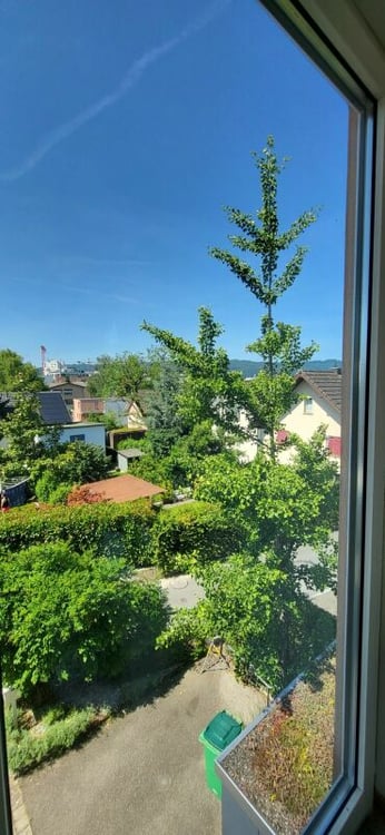 1.5-Zimmer-Unikat mit Charakter - Kein Einfamilienhaus wie jedes andere 29