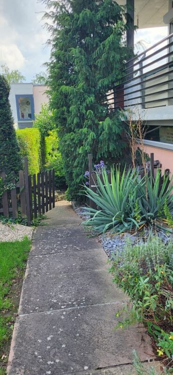 1.5-Zimmer-Unikat mit Charakter - Kein Einfamilienhaus wie jedes andere 64