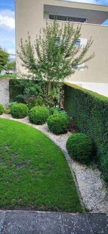 1.5-Zimmer-Unikat mit Charakter - Kein Einfamilienhaus wie jedes andere 61