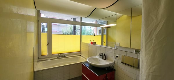 1.5-Zimmer-Unikat mit Charakter - Kein Einfamilienhaus wie jedes andere 50