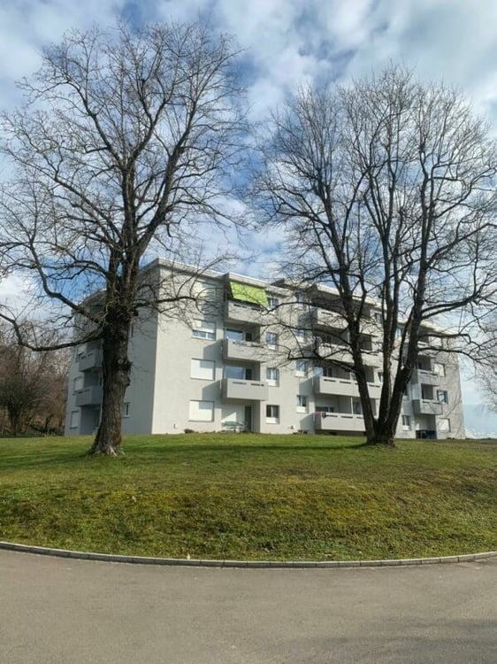 Ein kleiner Traum in 2-Zimmern sucht neuen Mieter in Untersiggenthal