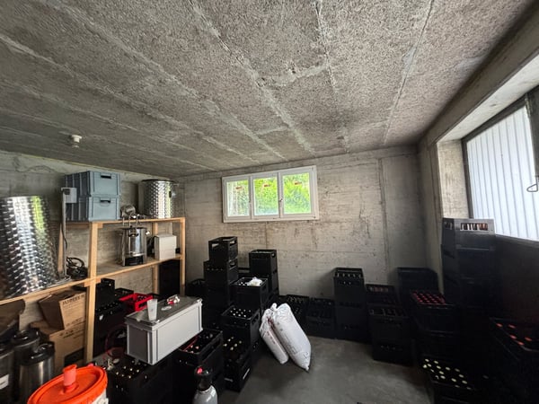 Einfamilienhaus mit grossem Potenzial für Handwerker und Hobbybegeisterte 32