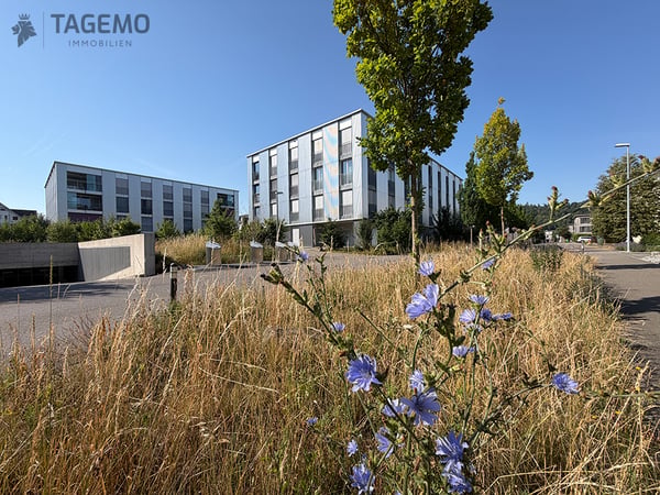 Mehr als eine gewöhnliche Attikawohnung – mit hochwertig ausgebauter Loggia und wertvollen Extras. 1