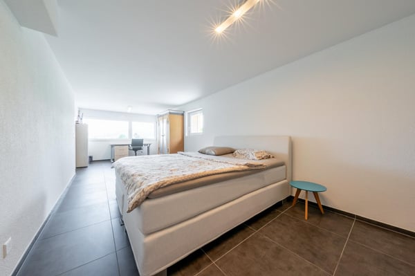 Modern & Aussergewöhnlich mit 290m2 Nutzfläche, gepflegte Gartenanlage mit Chromstahlpool 23