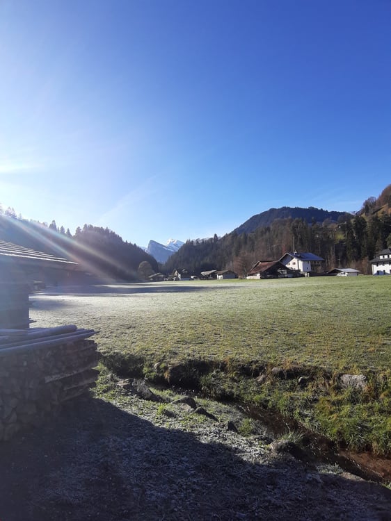 1.5-Zimmerwohnung mit gedeckter Terrasse 15