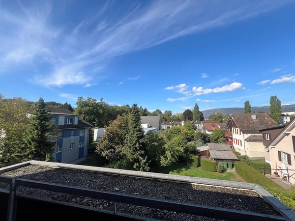 3.5-Zimmer-Attikawohnung mit grosser Terrasse zum Verweilen
