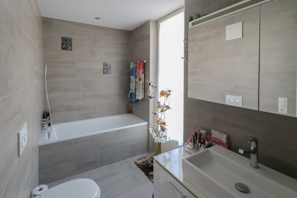 Moderne 1.5 Zi. Wohnung mit schöner Terrrase 5