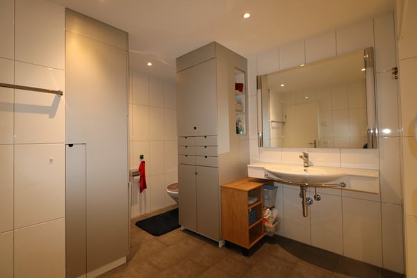 5 1/2 Zi. Duplex mit toller Dachterrasse 9