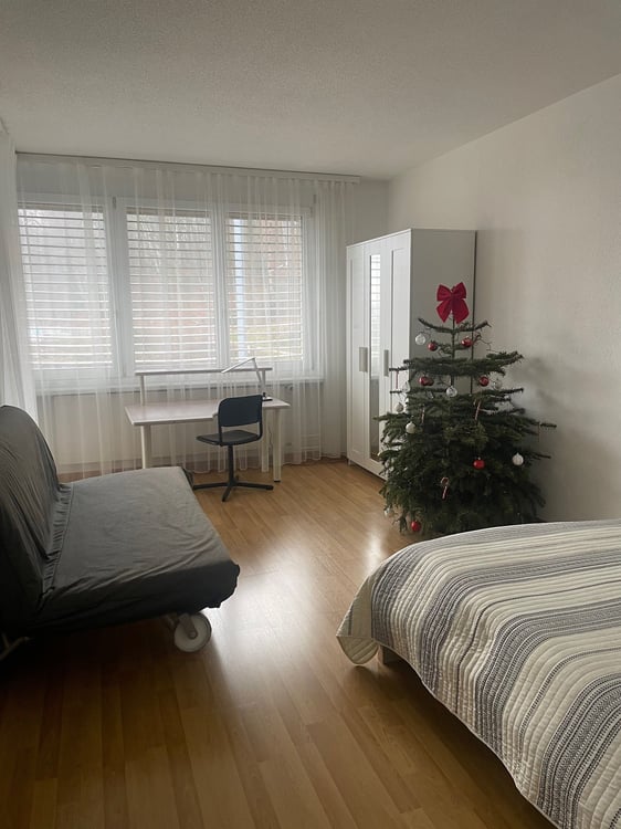 Grosszügige und helle Wohnung sucht Sie! 2