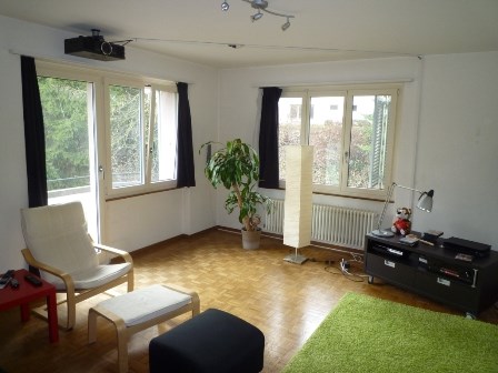 white walls, wooden floor, large windows, balcony, white chair, ottoman, green rug, potted plant, lamp, TV stand, projector