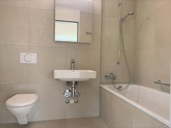 Wunderschöne 2.5-Zimmerwohnung im Papillonquartier 4