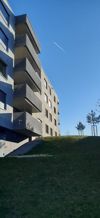 Wunderschöne 2.5-Zimmerwohnung im Papillonquartier 2