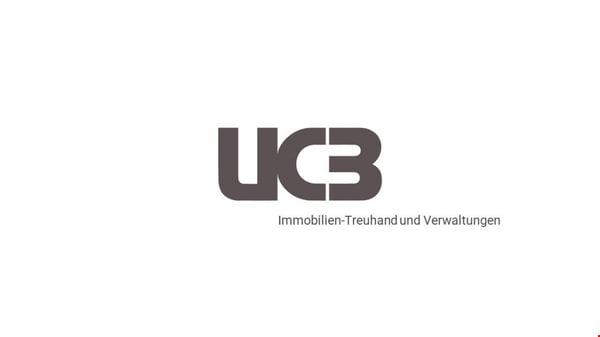 Befristete Vermietung: Geräumiges 4.5-Zimmer-Wohnatelier am Seidenweg in Bern 12