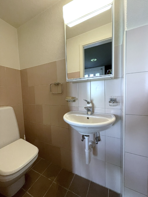 Doppeleinfamilienhaus mit grosser, idyllischer Gartenanlage 16