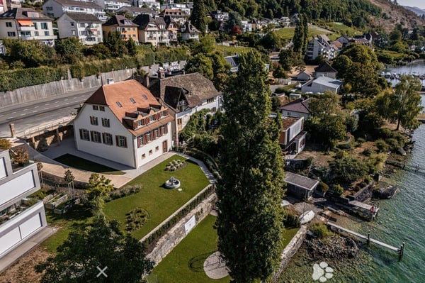 Einzigartige Villa mit direktem Seeanstoss 2