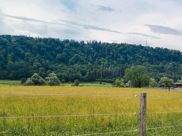 LIESTAL NORD - BEZAUBERNDES EINFAMILIENHAUS 2