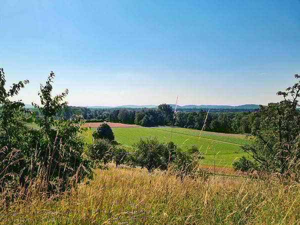 Vorschaubild der Immobilie