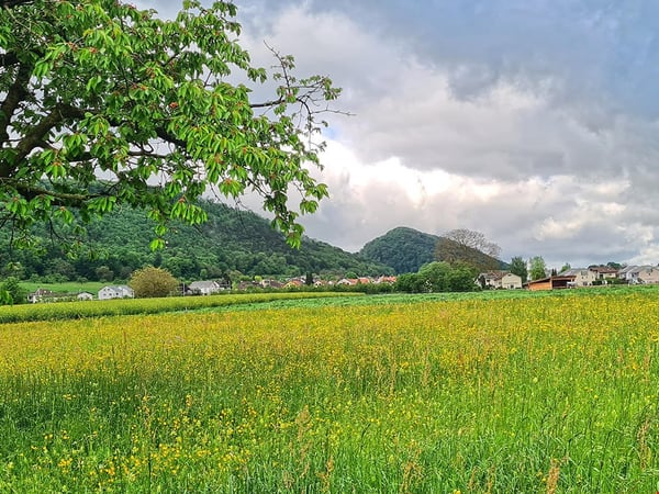 WITTERSWIL - SCHÖNES HAUS - 1.5 ZIMMER 2