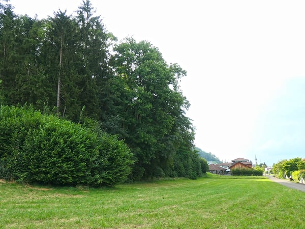 EIKEN - RAFFINIERTE WOHNUNG 3