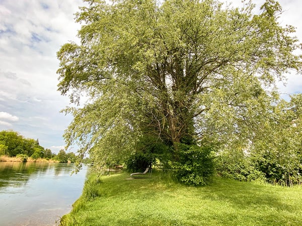 OETWIL AN DER LIMMAT - ERSTKLASSIGE TERRASSENWOHNUNG 1