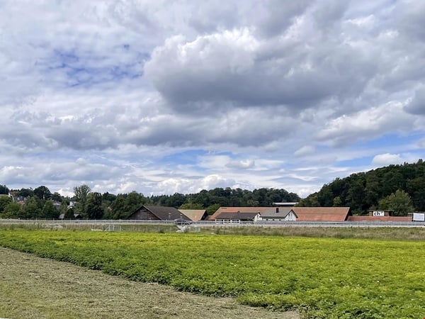 MELLINGEN - SCHÖNE VILLA - 7.0 ZIMMER 1