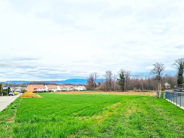 ALLSCHWIL AGGLOMERATION - HERRLICHES EINFAMILIENHAUS - 5 ZIMMER 2