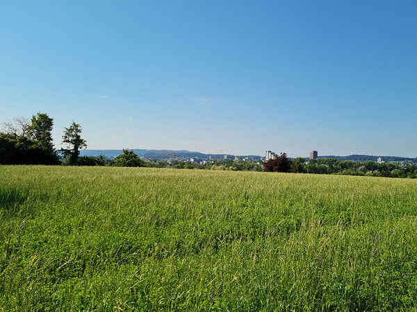 AARAU NORD - SCHÖNE WOHNUNG MIT HERRLICHER AUSSICHT UND GROSSER TERRASSE 1