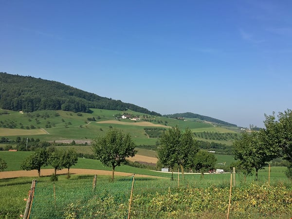 ARISDORF - CHARMANTES EINFAMILIENHAUS - 5 ZIMMER 1
