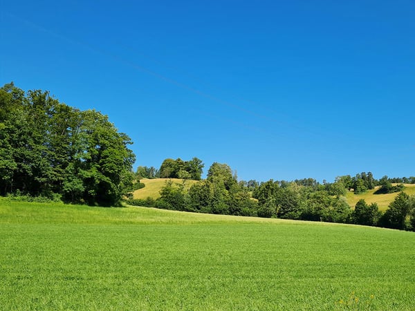 AARAU NORD - GENIALE GARTENWOHNUNG 2