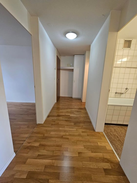 Sonnige 1½-Zimmer-Wohnung mit Bergsicht sucht Mieter! 6