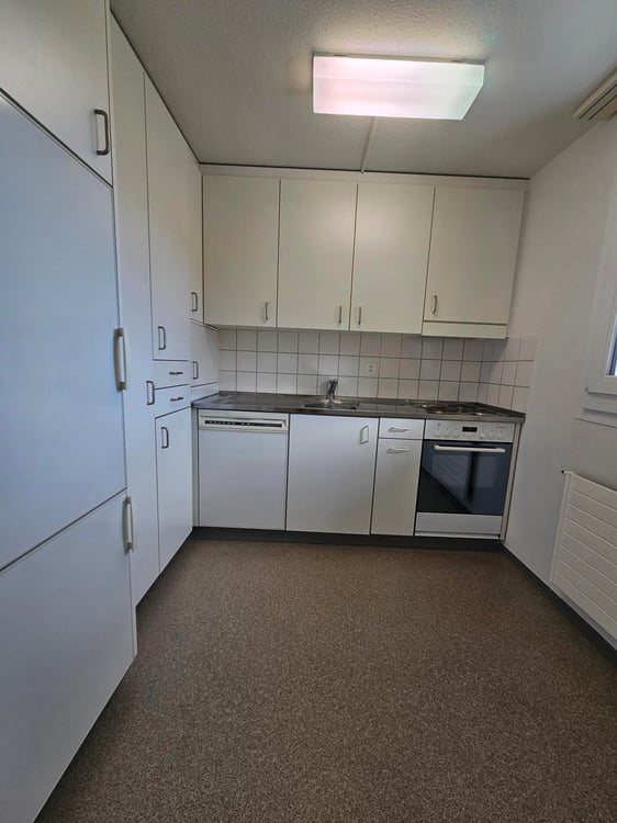 Sonnige 1½-Zimmer-Wohnung mit Bergsicht sucht Mieter! 10