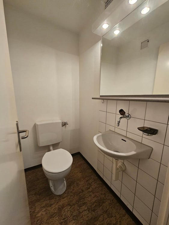 Sonnige 1½-Zimmer-Wohnung mit Bergsicht sucht Mieter! 12