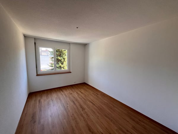 NEU SANIERT: Helle, grosszügige 5.5-Zimmer-Wohnung mit Aussicht auf die Bergkette 12