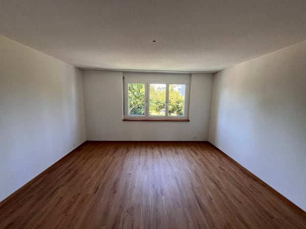 NEU SANIERT: Helle, grosszügige 5.5-Zimmer-Wohnung mit Aussicht auf die Bergkette 13