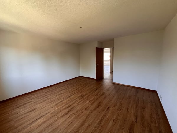 NEU SANIERT: Helle, grosszügige 5.5-Zimmer-Wohnung mit Aussicht auf die Bergkette 14