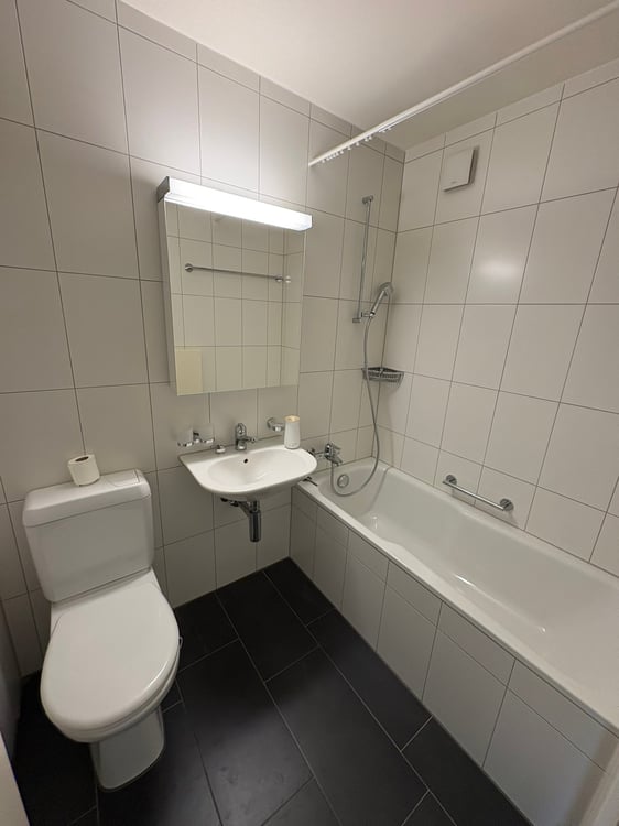 Helle 3½-Zimmer-Wohnung mit Balkon und schöner Bergsicht! 7