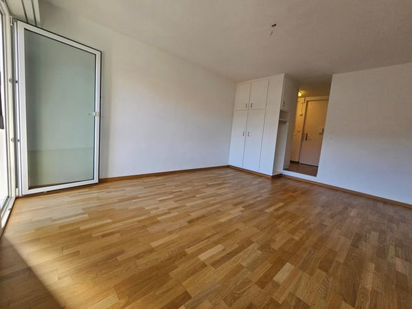 Suechsch äs gäbigs Studio ir nechi vom See? 2