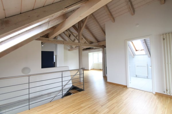 Grosszügige Dachwohnung mit Blick ins Grüne
