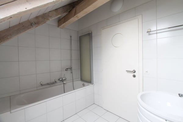 Grosszügige Dachwohnung mit Blick ins Grüne 3