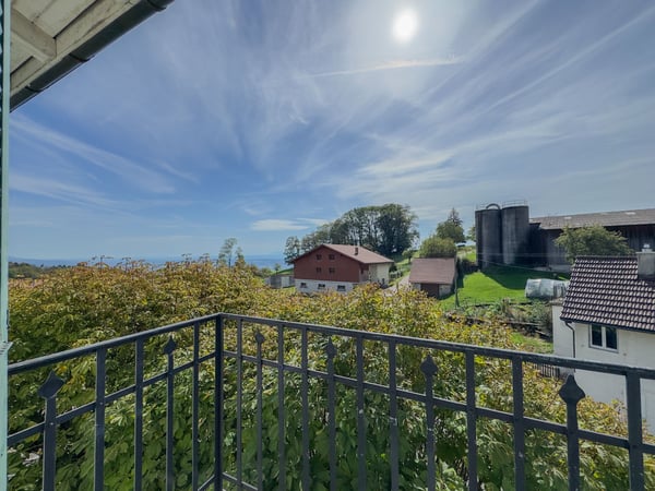 Geräumige Wohnung in beschaulichem Dorf 6