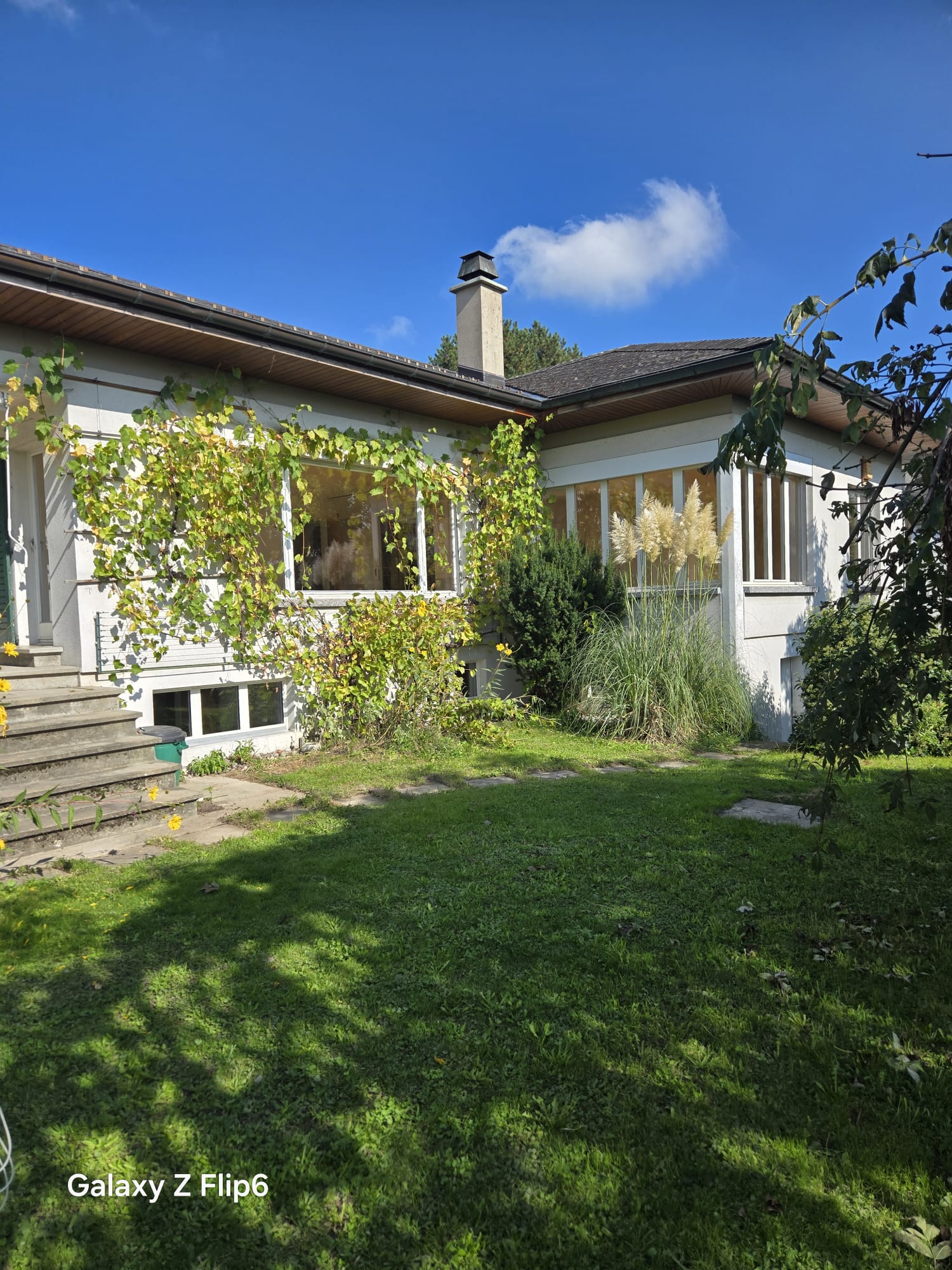 Bild Charmante 5.5-Zimmerwohnung mit Haus-Charakter und viel Platz