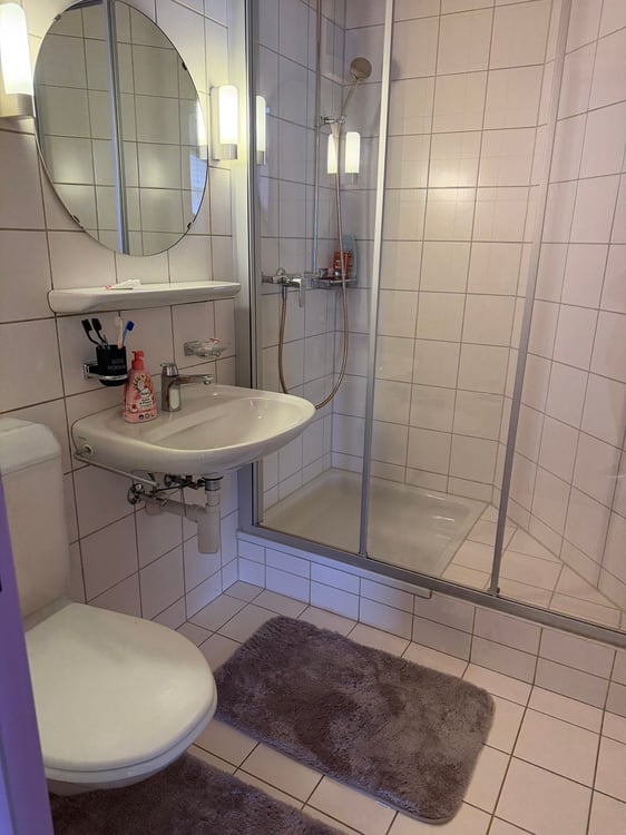 Grosszügige 4.5-Zimmer-Dachwohnung mit Bergblick in Tafers 5