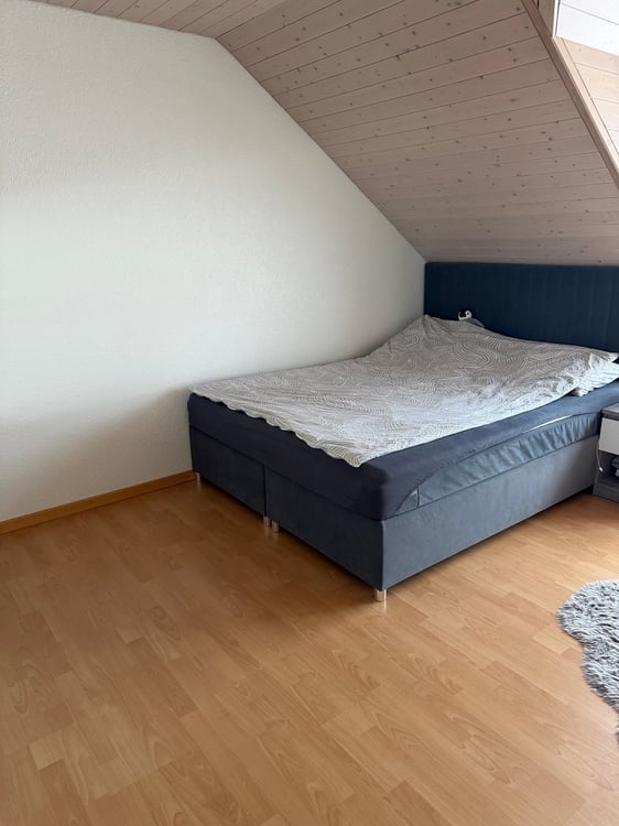 Grosszügige 4.5-Zimmer-Dachwohnung mit Bergblick in Tafers 9