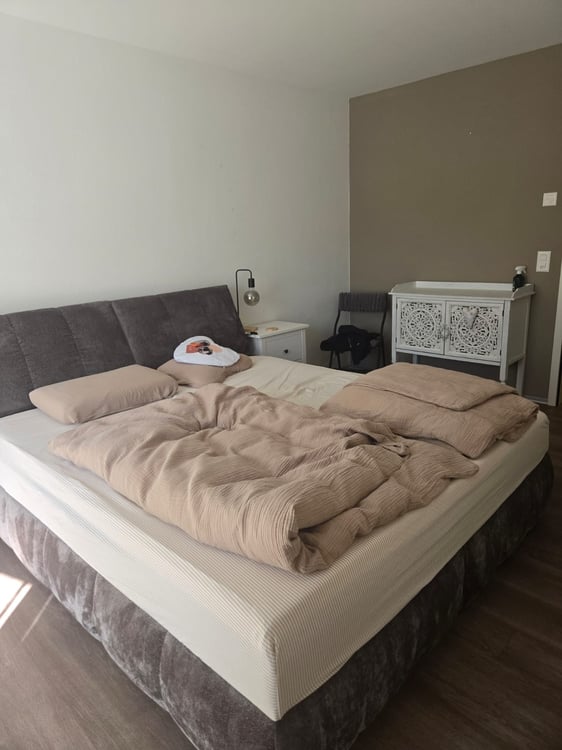 Charmante 7.5-Zimmerwohnung im Erdgeschoss in Düdingen 9