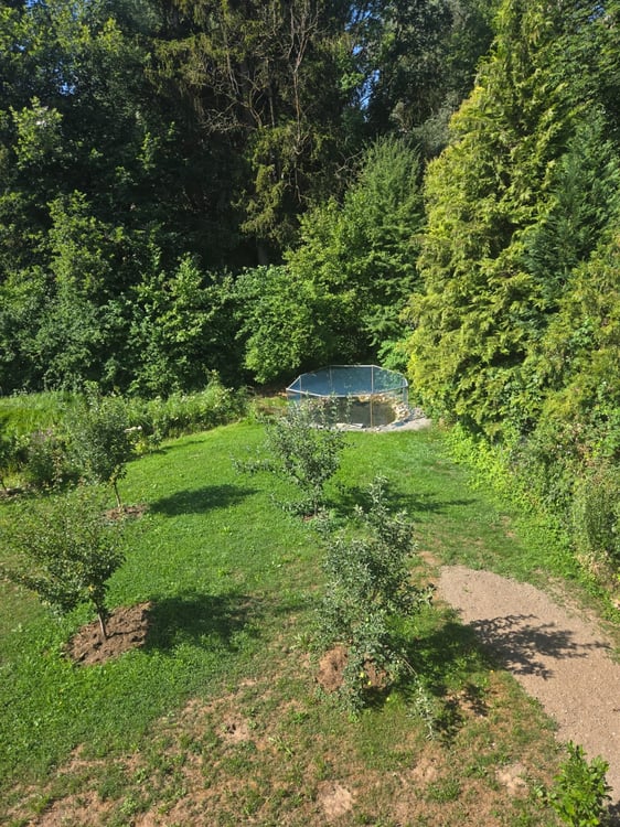 Charmante 7.5-Zimmerwohnung im Erdgeschoss in Düdingen 2