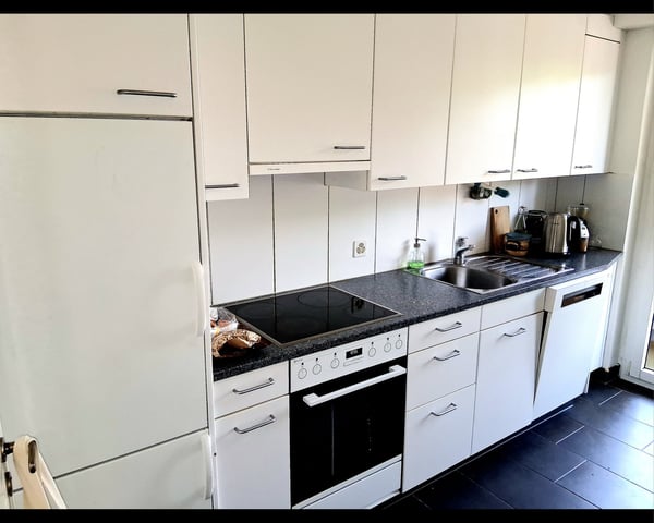 Grosszügige 4-Zimmerwohnung mit Pilatussicht im Zentrum von Kriens 3