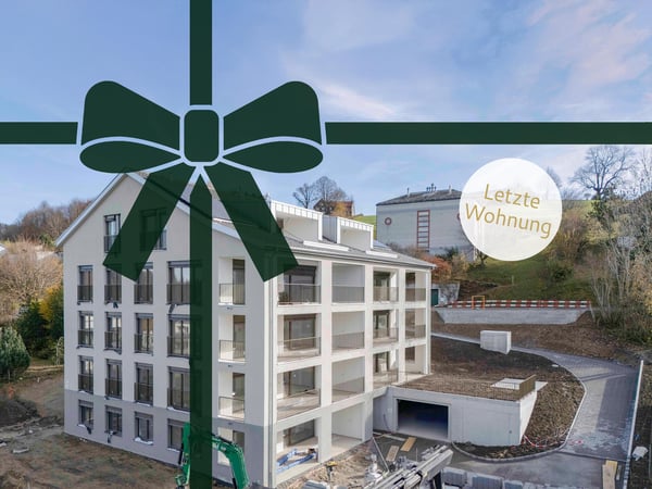 Letzte Wohnung - Neubauprojekt Collina in Lustmühle 1