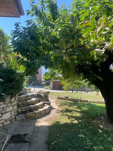 Belle villa individuelle avec terrain et jardin richement arboré 10